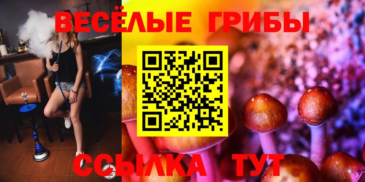 Псилоцибиновые грибы GOLDEN TEACHER  Вход с VPN  Долгопрудный 