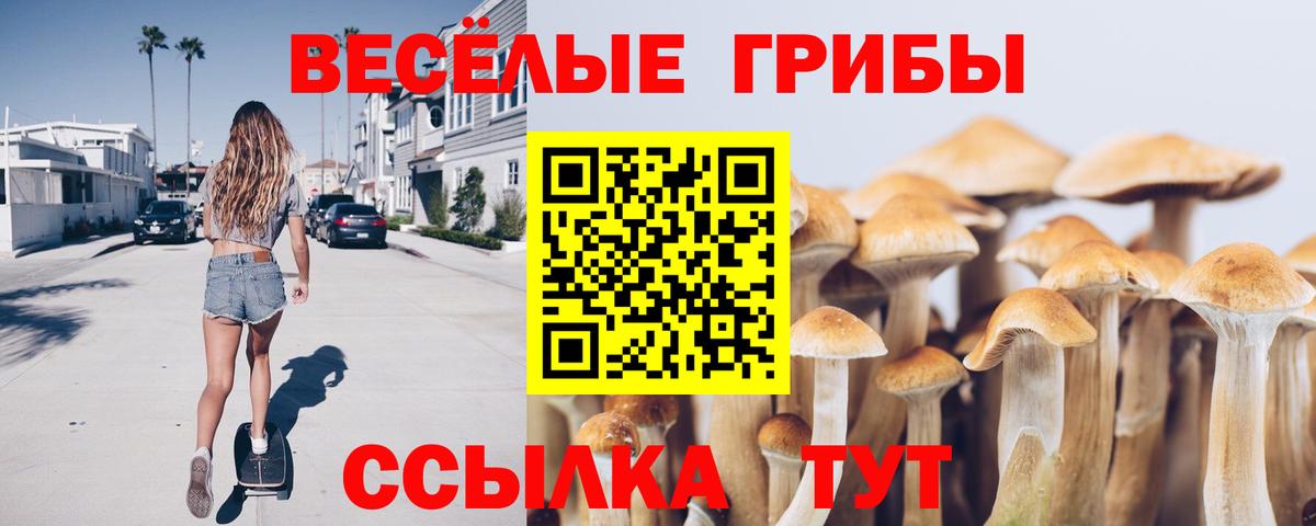 Псилоцибиновые грибы GOLDEN TEACHER Долгопрудный