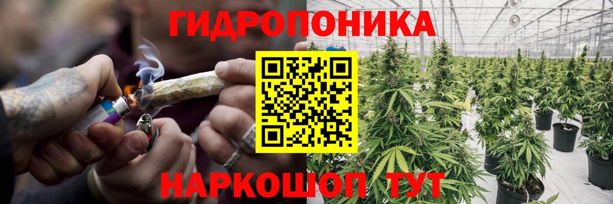 Каннабис LSD WEED  Бошки марихуана план  Долгопрудный  Марихуана Bruce Banner  Вход с VPN  Марихуана марихуана 